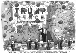 TRUMP ADDRESSES THE ELEPHANT IN THE ROOM by RJ Matson