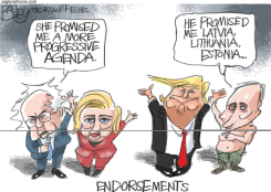 ENDORSEMENTS by Pat Bagley