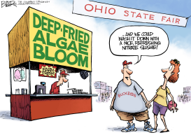 LOCAL OH - FAIR FOOD by Nate Beeler