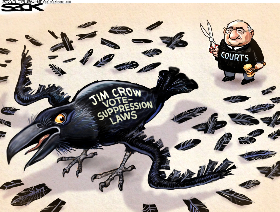  VOTE SUPPRESSION by Steve Sack