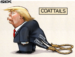 TRUMP TAIL by Steve Sack