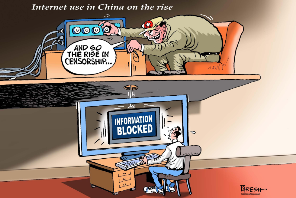  INTERNET USE IN CHINA by Paresh Nath