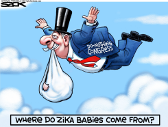 ZIKA STORK by Steve Sack