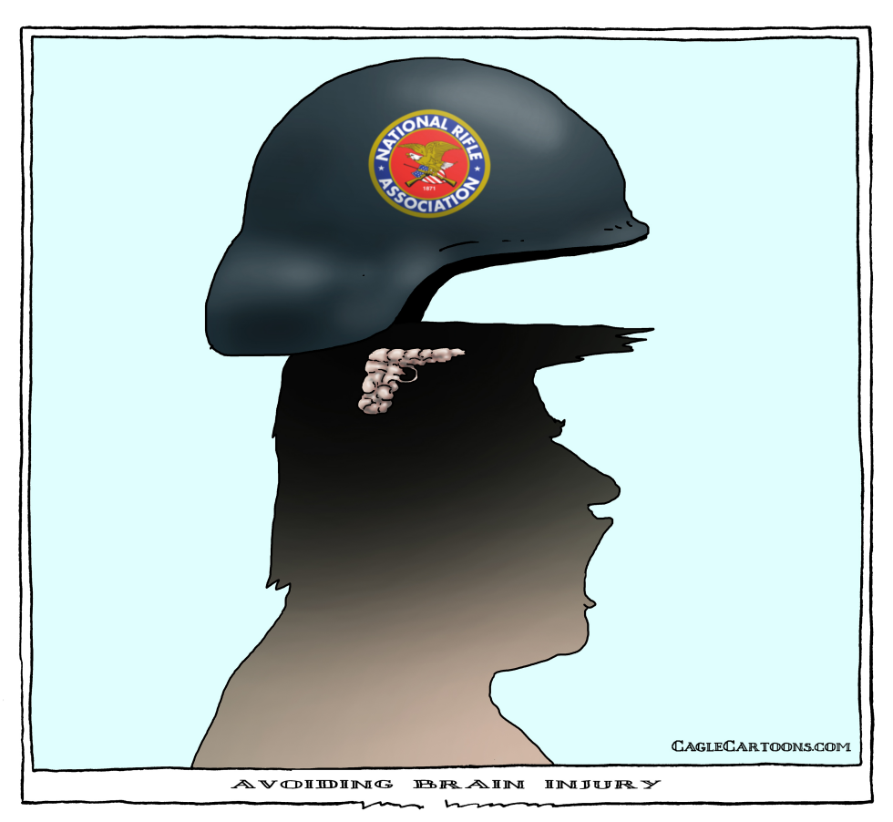  AVOIDING BRAIN INJURY by Joep Bertrams