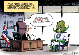 LOCAL OH - MEDICAL POT EXPERT by Nate Beeler