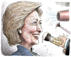 HILLARY'S FLAWS by Adam Zyglis