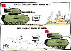 TURKEY ATTACKS by Tom Janssen