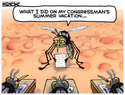 ZIKA SUMMER by Steve Sack