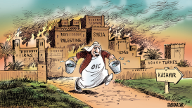 MIDDLE EAST, KASHMIR AND OIC  by Sabir Nazar