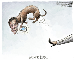 ANTHONY WEINER by Adam Zyglis