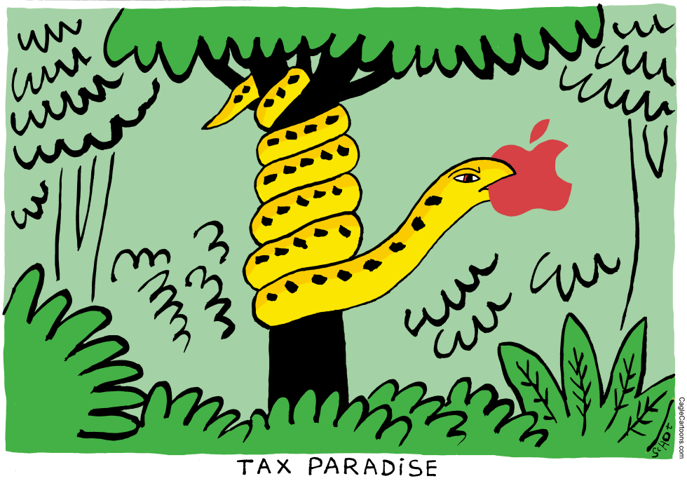  TAX PARADISE APPLE by Schot