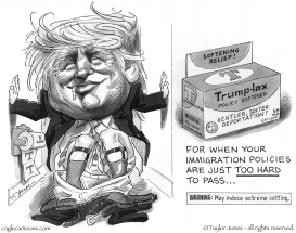 A SOFTER TRUMP by Taylor Jones