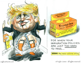 A SOFTER TRUMP  by Taylor Jones