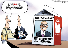 LOCAL OH - TED STRICKLAND AD by Nate Beeler