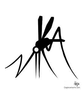 ZIKA by Hajo de Reijger