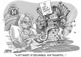 GIFT BASKET OF DEPLORABLES FOR SICK HILLARY by RJ Matson