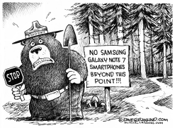 SAMSUNG GALAXY NOTE 7 FIRES  by Dave Granlund