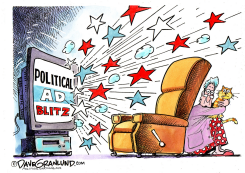 POLITICAL TV AD BLITZ by Dave Granlund