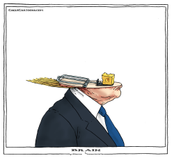 TRUMP BRAIN TRAP by Joep Bertrams