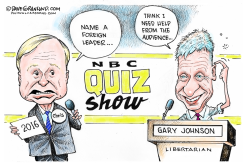 GARY JOHNSON QUIZ by Dave Granlund