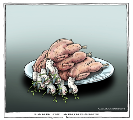 LAND OF ABUNDANCE by Joep Bertrams