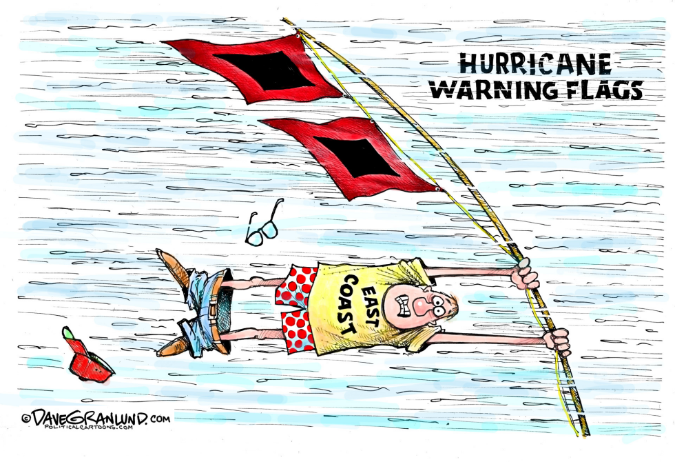  HURRICANES AND WARNING FLAGS by Dave Granlund