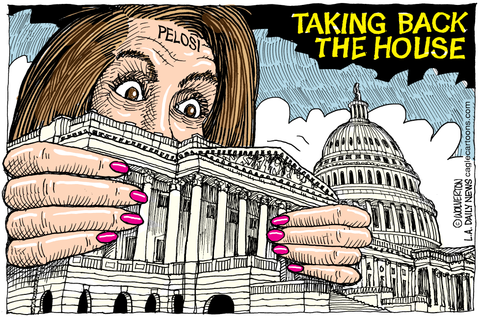  PELOSI TAKING BACK THE HOUSE by Wolverton