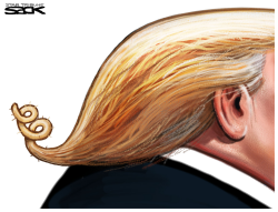 PIGTAIL by Steve Sack