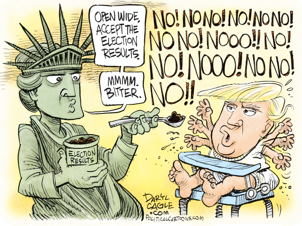  TRUMP ACCEPTING ELECTION RESULTS by Daryl Cagle