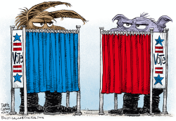 VOTING BOOTHS by Daryl Cagle