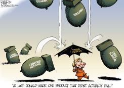 TRUMPBRELLA by Nate Beeler