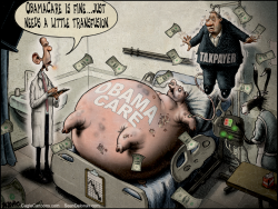 OBAMACARE TAXPAYER by Sean Delonas