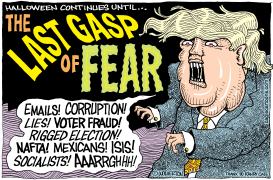 POLITICS OF FEAR by Wolverton