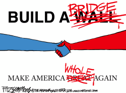 BUILD A WALL by David Fitzsimmons