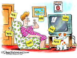 VOTE NOV 8 by Dave Granlund