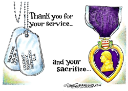 VETERANS SERVICE AND SACRIFICE by Dave Granlund