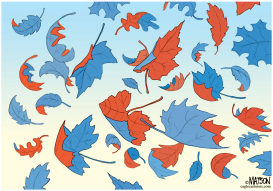 TURNING LEAVES MARK END OF FALL CAMPAIGN by RJ Matson