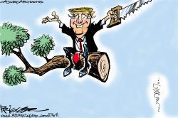 TA DA TRUMP by Milt Priggee