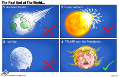 TRUMP WON THE PRESIDENCY by Osama Hajjaj