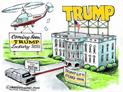 TRUMP WHITE HOUSE by Dave Granlund