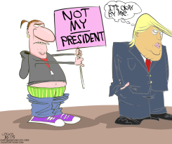 NOT MY PRESIDENT by Gary McCoy