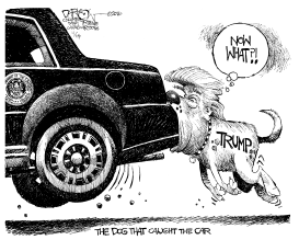 THE TRUMP THAT CAUGHT THE CAR by John Darkow