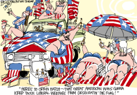 FLAG DESECRATION by Pat Bagley