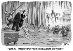 TRUMP DRAINS THE SWAMP LOOKING FOR PEOPLE TO APPOINT TO HIS CABINET by RJ Matson