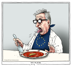 HAIR IN MY SOUP by Joep Bertrams