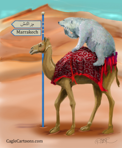 POLARBEAR ON A DROMEDARY by Riber Hansson