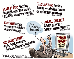 FAKE NEWS TURKEYS by John Cole