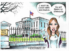 MELANIA AND WHITE HOUSE by Dave Granlund