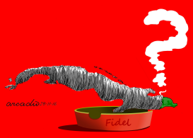 AND AFTER FIDEL/Y DESPUéS DE FIDEL by Arcadio Esquivel