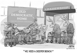 TIRED OLD DEMOCRATS IN CONGRESS NEED A DEEPER BENCH by RJ Matson